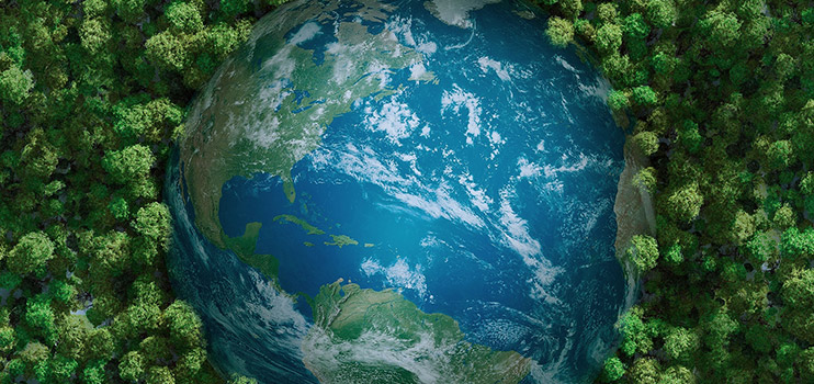 Coloray secara aktif berpartisipasi dalam penyebab perlindungan lingkungan global.